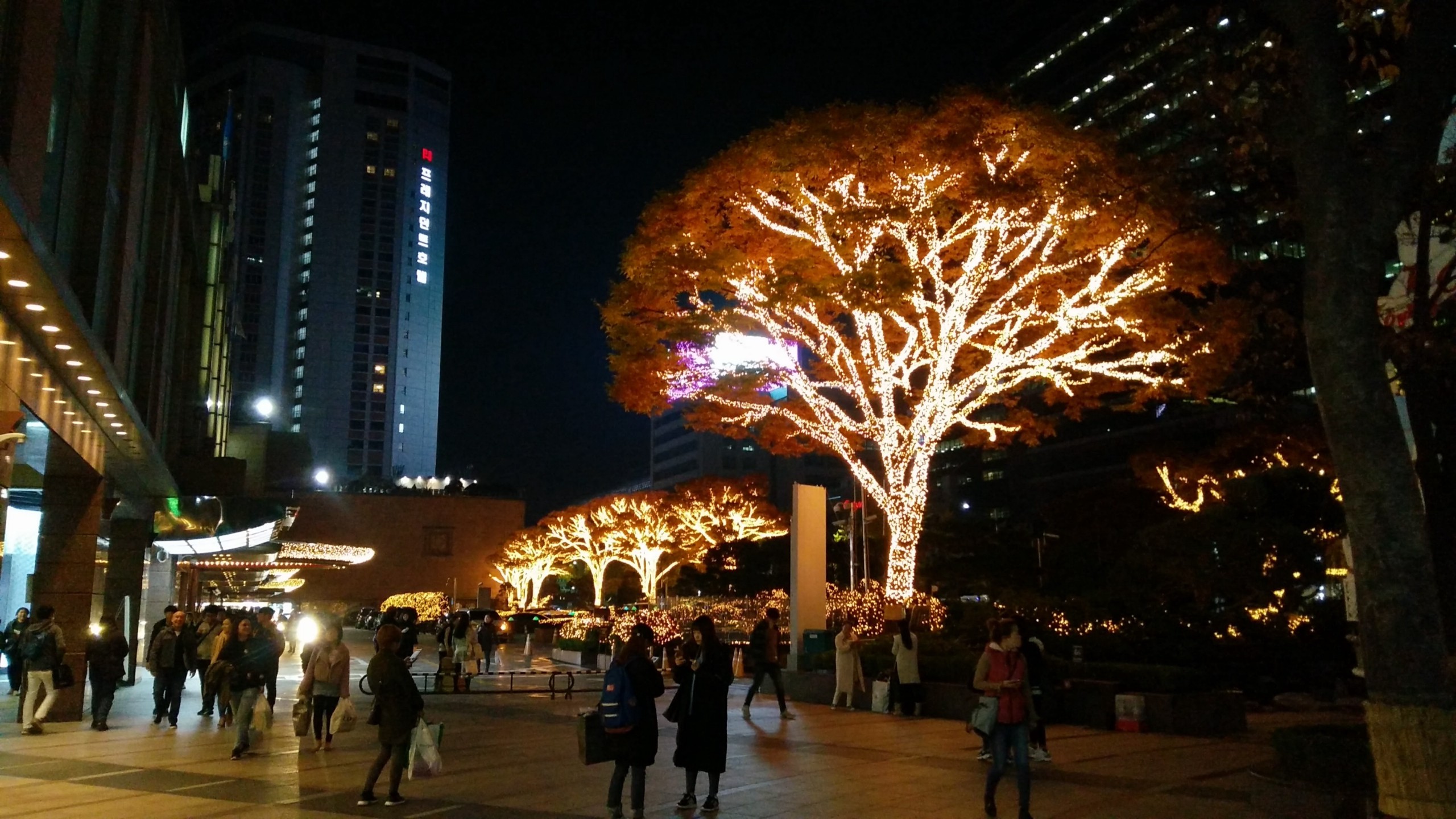 Early Christmas Decorations in Seoul